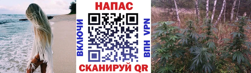 Конопля OG Kush  ОМГ ОМГ как зайти  Жигулёвск 